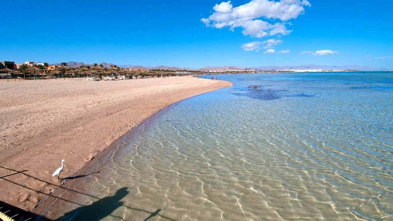 الفندق أمواج عيون - شرم الشيخ